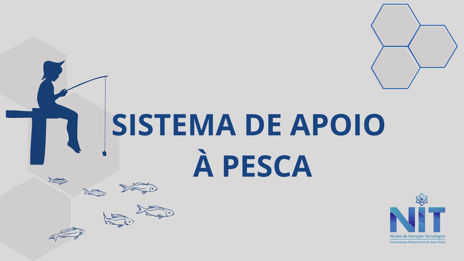 SISAPE – SISTEMA DE APOIO À PESCA