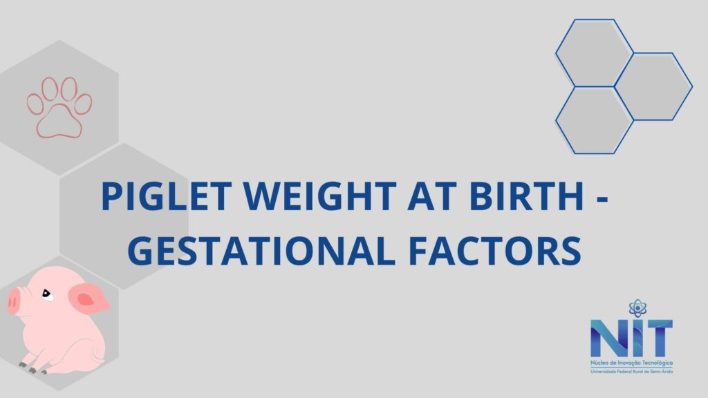 PIGLET WEIGHT AT BIRTH – GESTATIONAL FACTORS