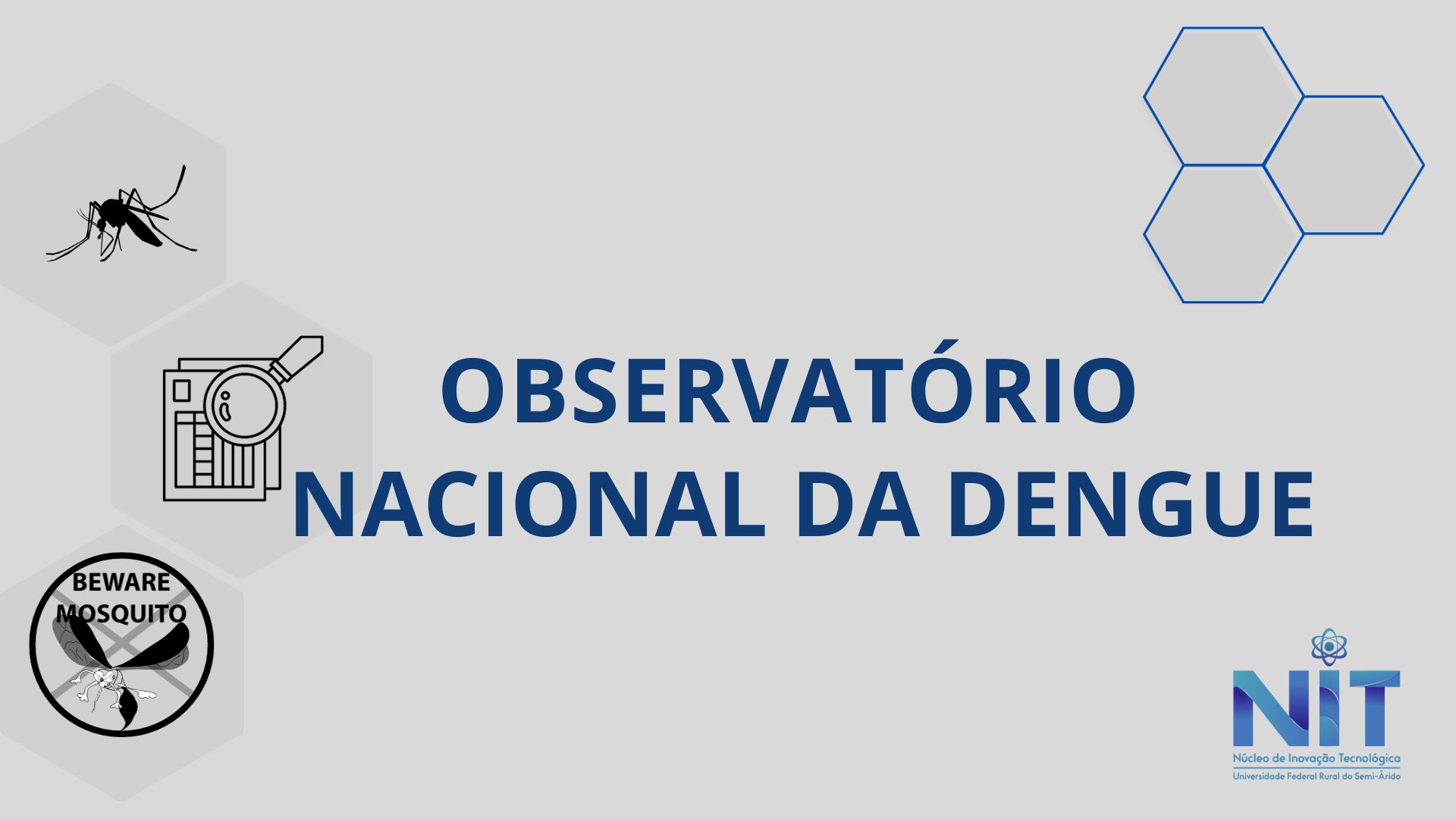 OBSERVATÓRIO NACIONAL DA DENGUE